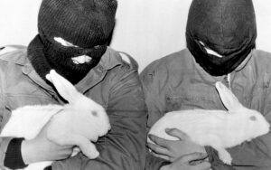 Two animal liberation activists in balaclavas, each holding a rescued white rabbit