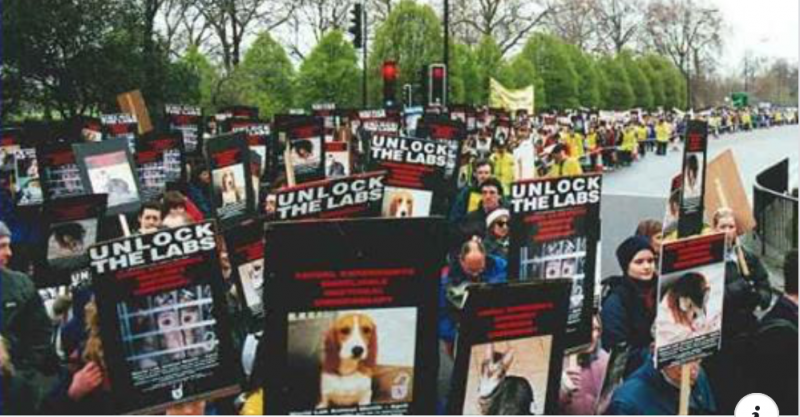 Anti-vivisection protest