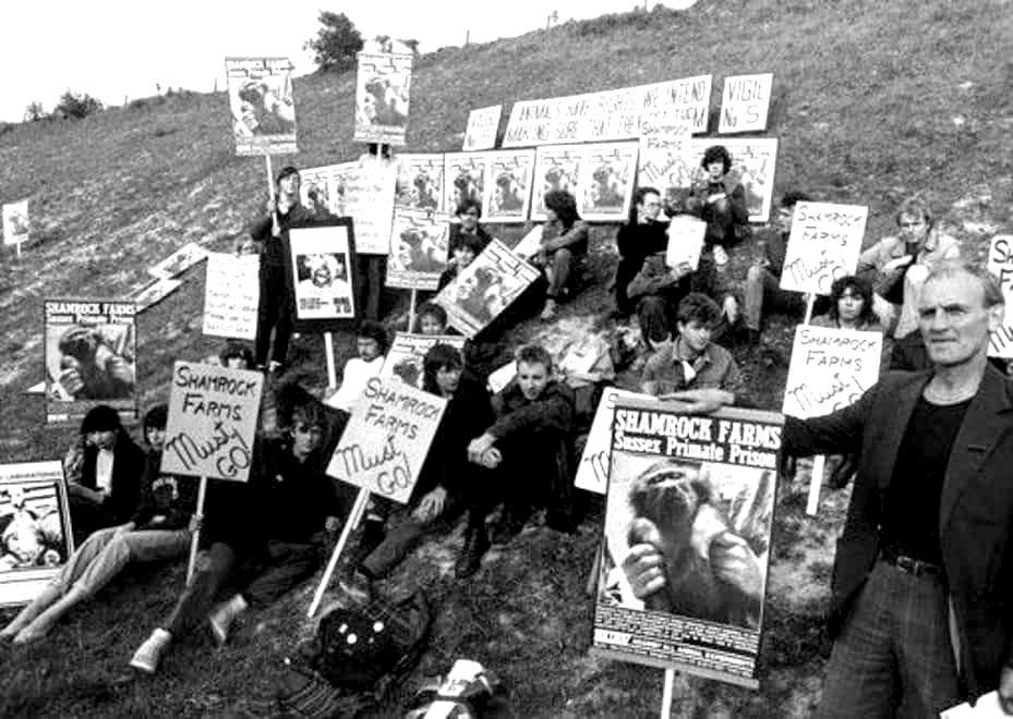 Protest at Shamrock Farm monkey breeding facility