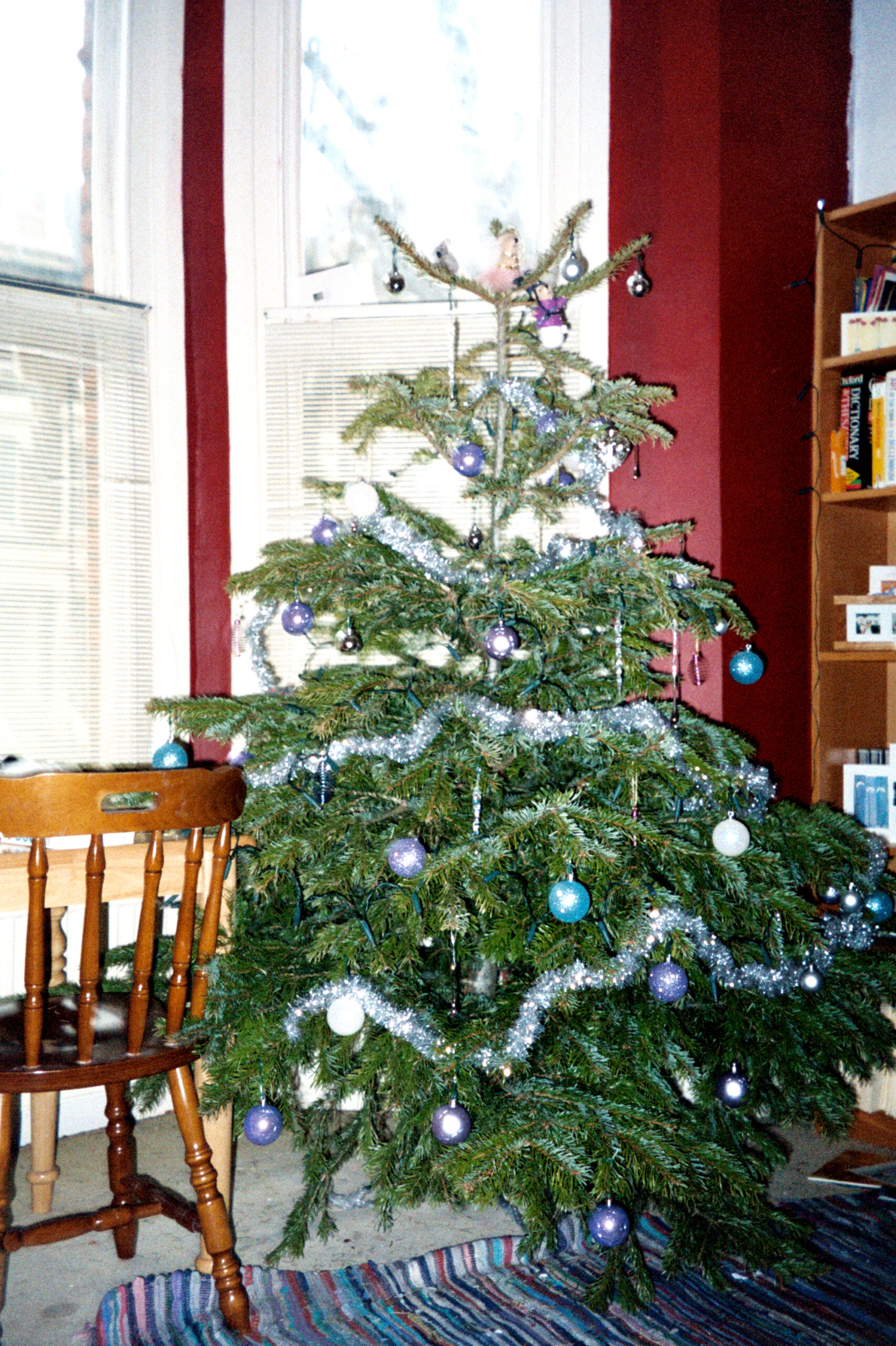 The Christmas tree Carlo Soracchi insisted he and Donna had, 2002. He now denies even living at the flat at the time.